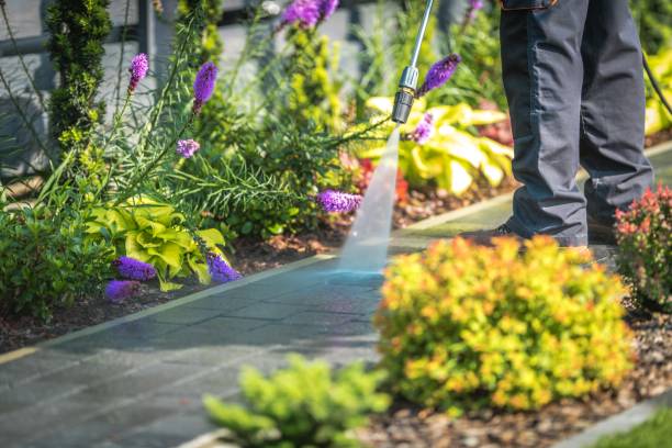 Best Restaurant Pressure Washing  in Spring, TX