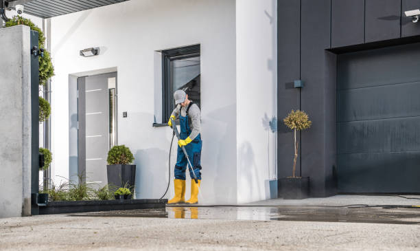 Best Soft Washing  in Spring, TX